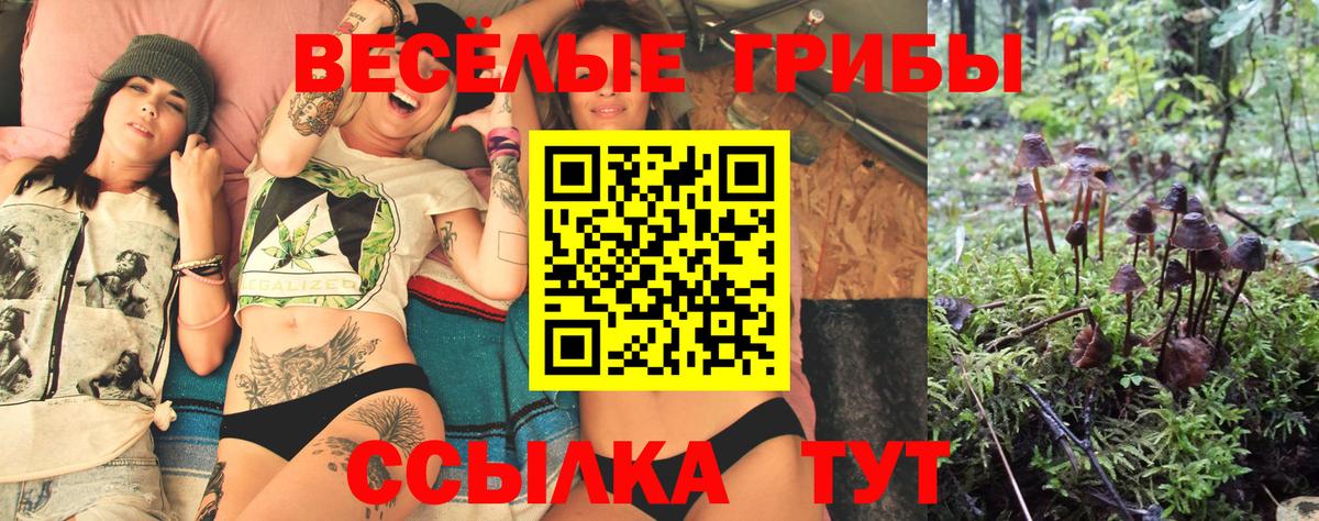 Белебей  Галлюциногенные грибы прущие грибы  Вход с VPN 